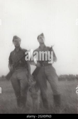 vintage / Retro army / military PPsh-41 series 1. Two soldiers are with a dog ( German Shepherd ) posing with them  Soviet submachine gun on the field  around at the 1950's. They are from Eastern Europe possibly Hungary. Source: original photograph papasha design by Georgy Shpagin. The PPSh-41 was in service from 1941-1960's Stock Photo