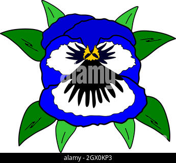 Blooming pansy Stock Vector