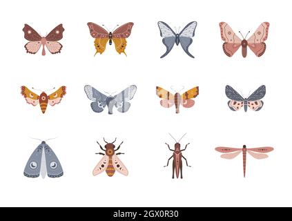 Butterfly collection in bohemian style. Cute hand drawn moth, dragonfly, bee and grasshopper. Isolated boho kids clipart. Vintage celestial design Stock Vector