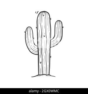 cactus dessert sketch hand drawn vector Stock Vector Image & Art - Alamy