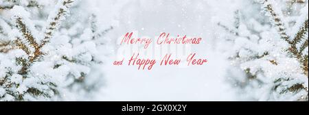 Christmas festive background text Merry Christmas and Happy New Year. Fluffy spruce branches in the snow with sparkles Stock Photo