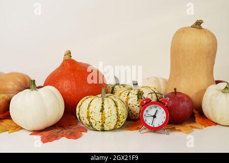 Autumn pumpkin with red alarm clock on light background with copy space Stock Photo