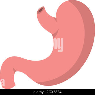 Stomach icon, flat style Stock Vector
