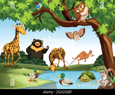 Many wild animals in the park Stock Vector