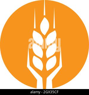 Agriculture Wheat Logo Template Vector Icon Design Royalty Free SVG,  Cliparts, Vectors, and Stock Illustration. Image 84803844.