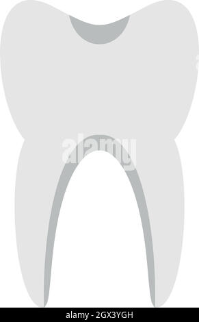 Tooth anatomy flat vector illustration Stock Vector Image & Art - Alamy