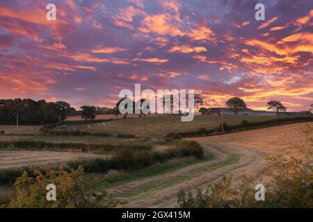 Blazing sunset sky over Perceton Mains in North Ayrshire with newly cut grass for next years silage. Stock Photo