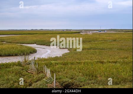 Leisure boats moored on the river Glaven at low tide in Blakeney Natural Nature Reserve, Norfolk, England. Stock Photo