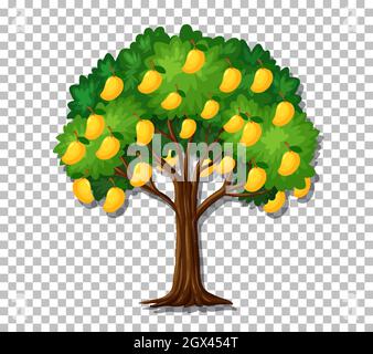 Mango tree on transparent background illustration Stock Vector