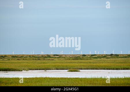 Marshes and river Glaven in Blakeney Natural Nature Reserve with Race Bank Wind Farm situated beyond the horizon in the Norh Sea, Norfolk, England. Stock Photo