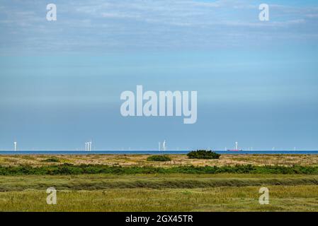 View from Blakeney Freshes to Race Bank Wind Farm and a freight ship on the horizon in the North Sea, Norfolk, England. Stock Photo