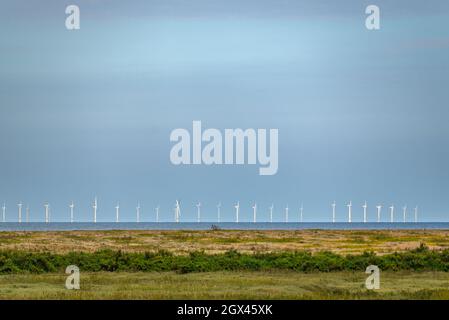 View from Blakeney Freshes to Race Bank Wind Farm on the horizon in the North Sea, Norfolk, England. Stock Photo