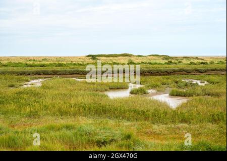 Nearly dry ponds and river Glaven at low tide in the marshlands of Blakeney Natural Nature Reserve on the coast of the North Sea, Norfolk, England. Stock Photo