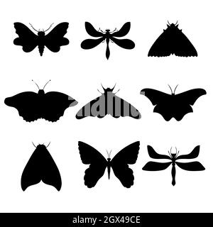 Set of vector night butterflies, moths. Hand drawn illustration Stock ...