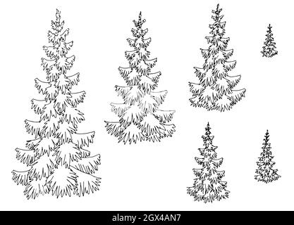 Christmas tree illustration drawing | Tree drawing simple, Pine tree drawing,  Tree illustration
