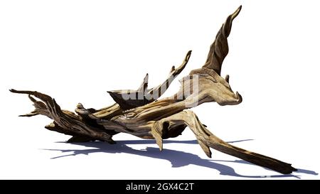 driftwood, pile of old branches isolated on white background Stock Photo