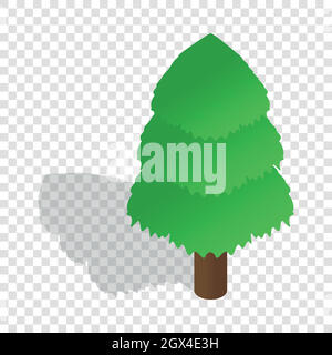 Spruce isometric icon Stock Vector
