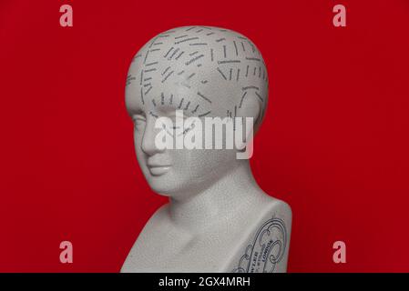 Phrenology Head, mental health concept. Stock Photo
