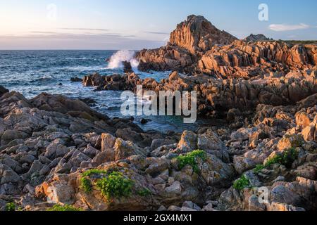 Last light on the rocky coast at Fort Hommet, Guernsey, Channel Islands Stock Photo