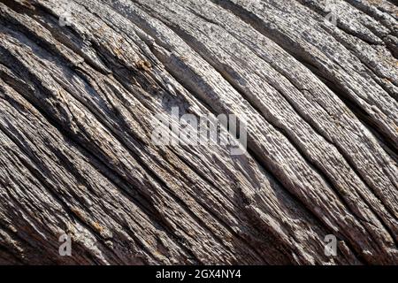 Close-up of an old, cracked and twisted gray tree trunk. Abstract natural textured background. Stock Photo