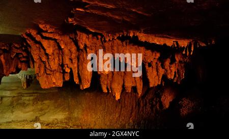 Banyan Tree formations in Belum Caves, Kolimigundla, Andhra Pradesh, India. Stalactites of limestone deposits hanging from the ceiling. Belum caves ar Stock Photo