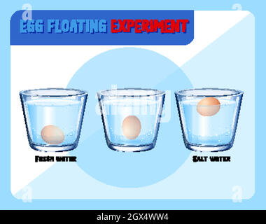 Science experiment with egg float test Stock Vector