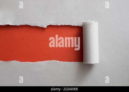 Red banner framed by a strip of torn grey paper rolled back neatly to reveal the copyspace for your text Stock Photo