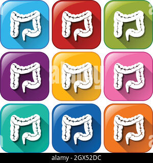 Buttons with intestines Stock Vector