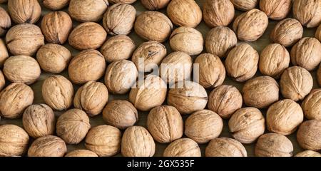 Background of healthy walnuts in shell. Stock Photo