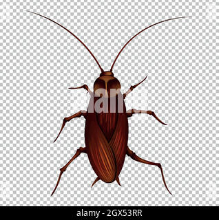 Brown cockroach on transparent background Stock Vector