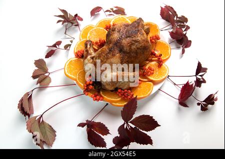 Traditional Christmas or thanksgiving roasted turkey, garnished with orange fruit slices and rowan berries on white background Stock Photo
