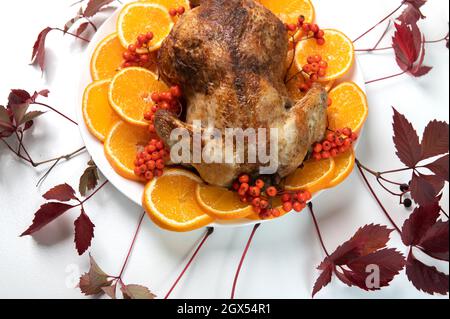 Traditional Christmas or thanksgiving roasted turkey, garnished with orange fruit slices and rowan berries on white background Stock Photo