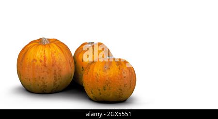 Pumpkins isolated on white background. Stock Photo