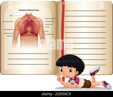 Boy and book of human anatomy Stock Vector