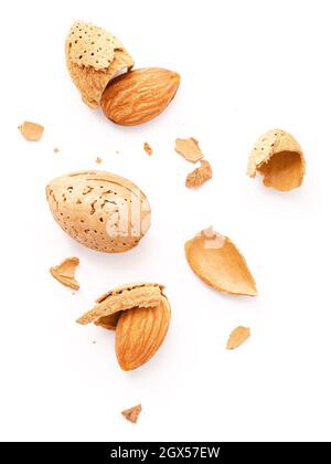 Close up group of almonds nut with shell  and cracked almonds shell isolated on white background. Stock Photo