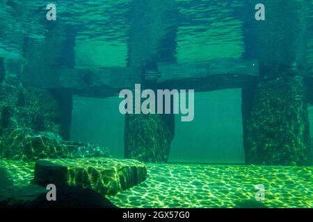 A stone columns under green water Stock Photo