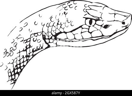 Copperhead snake Stock Vector Image & Art - Alamy