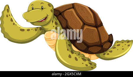 Turtle Stock Vector