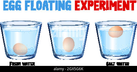 Science experiment with egg float test Stock Vector