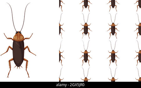 Cockroach isolated on white background and seamless Stock Vector