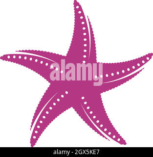 starfish vector illustration design Stock Vector