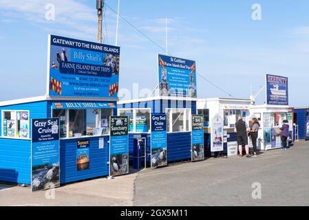 Kiosks selling tickets for Farne Islands sea trips Seahouses Harbour Northumberland coast Seahouses England GB UK Europe Stock Photo