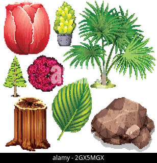 Set of isolated objects theme nature Stock Vector