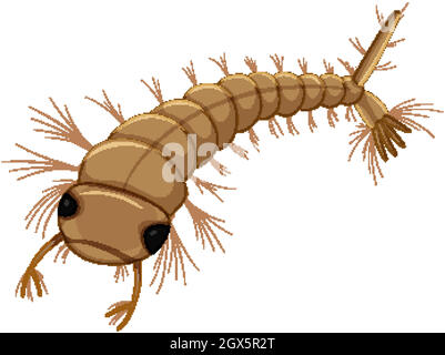 Mosquito larva isolated on white background Stock Vector