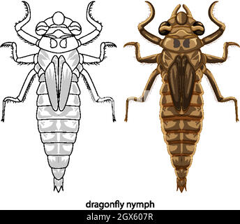 Dragonfly in colour and doodle on white background Stock Vector