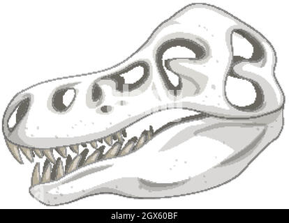 Dinosaur skeleton on white background Stock Vector
