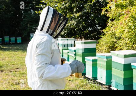 beekeeping helmet and veil