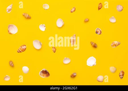 Levitation from above of sea shells of white and brown colors pattern on vibrant yellow background. Holidays travel and vacation concept with copy spa Stock Photo