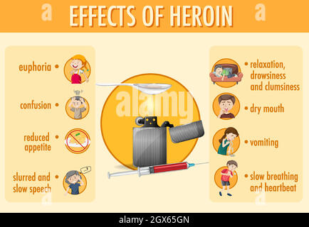 Effects Of Heroin Information Infographic Stock Vector Image & Art - Alamy