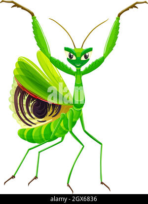 Green mantis on white background Stock Vector